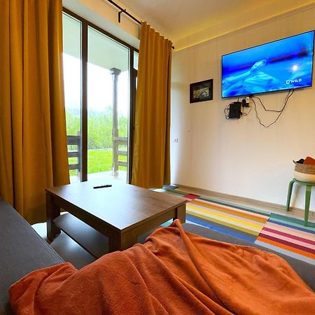 Cozy Riverfront Apartments With Garden And Mountain View Busteni Luaran gambar