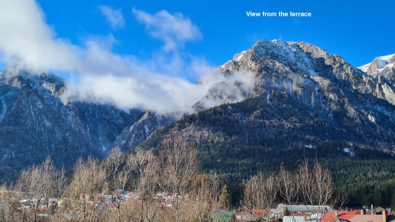 Cozy Riverfront Apartments With Garden And Mountain View Busteni Luaran gambar