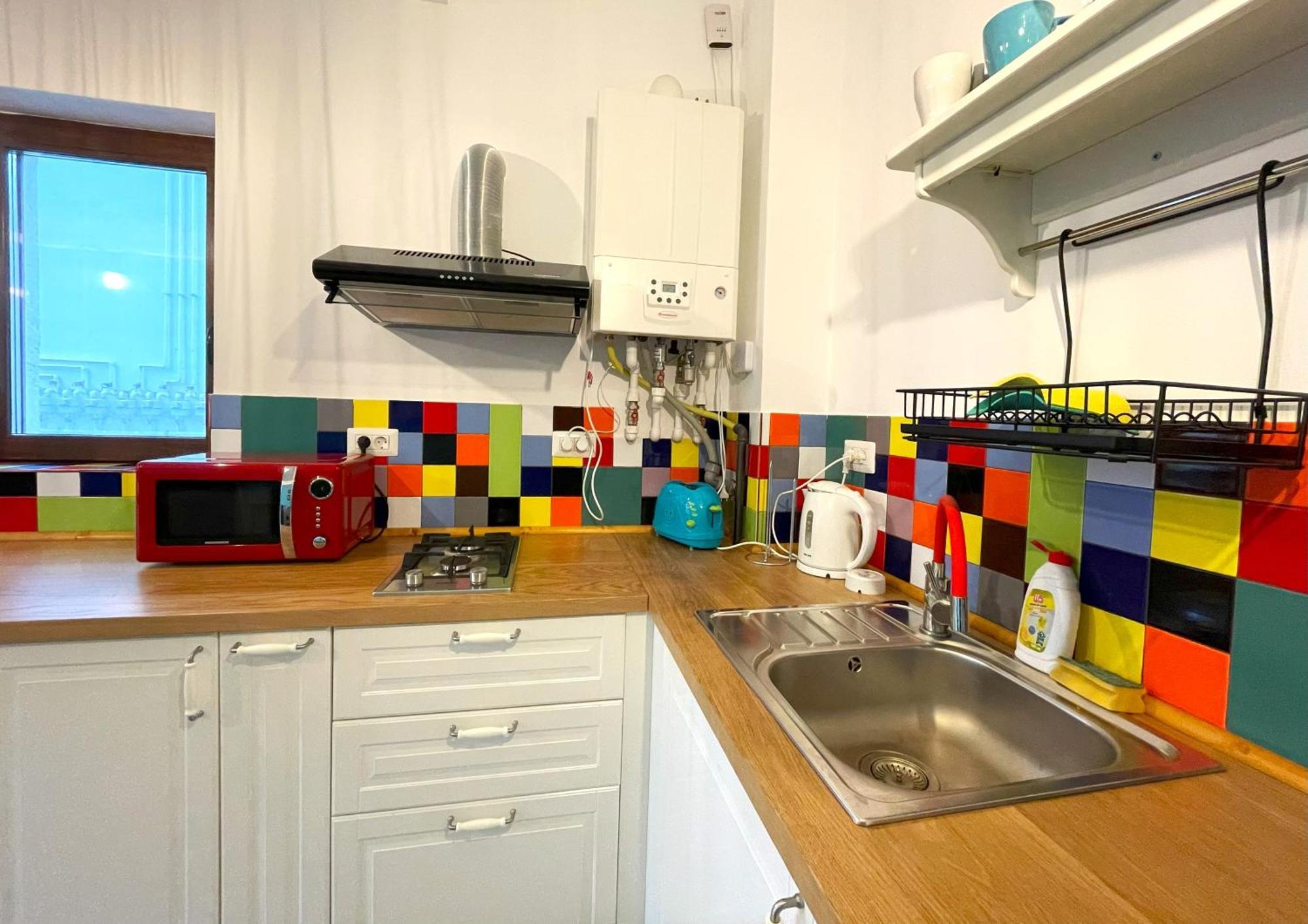 Cozy Riverfront Apartments With Garden And Mountain View Busteni Luaran gambar