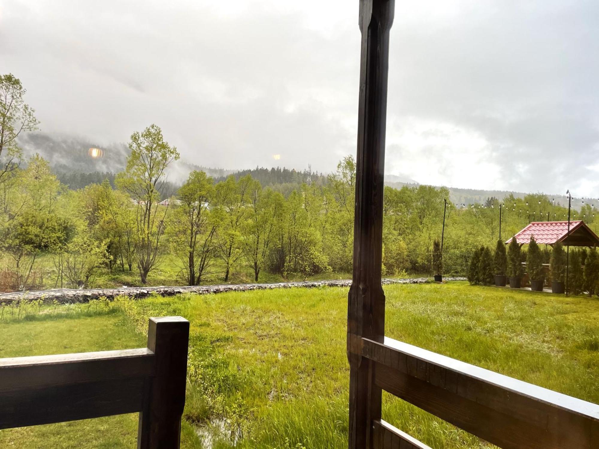 Cozy Riverfront Apartments With Garden And Mountain View Busteni Luaran gambar